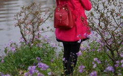 暖暖在线观看免费高清下载